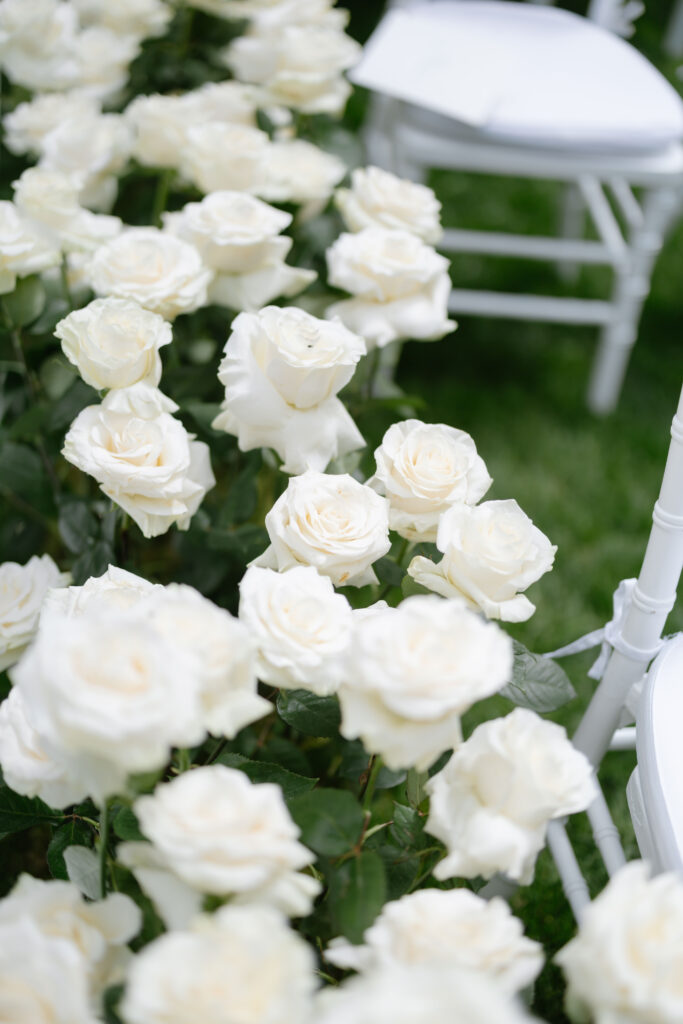 outdoor wedding Villa cetinale, white carpet white roses