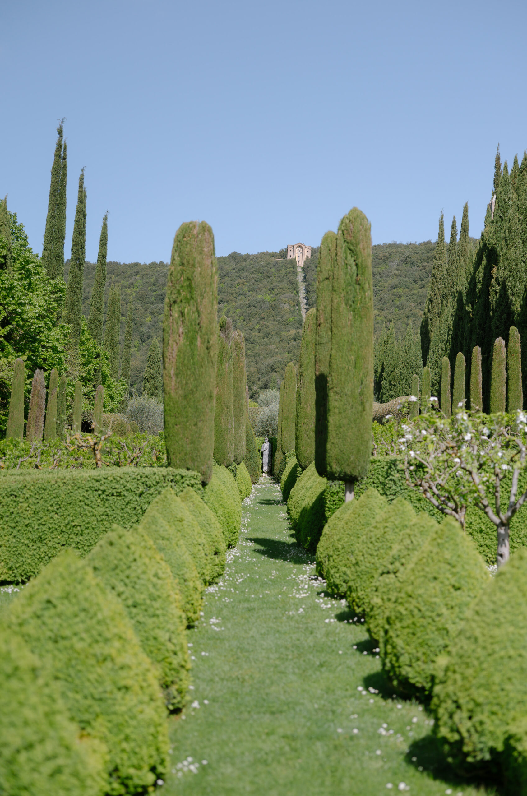 gardens at Villa Cetinale