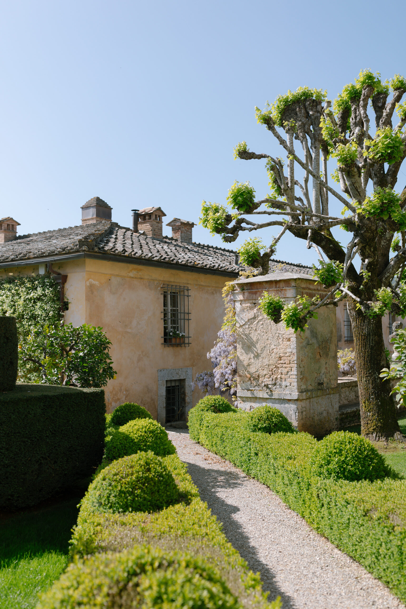 gardens at Villa cetinale