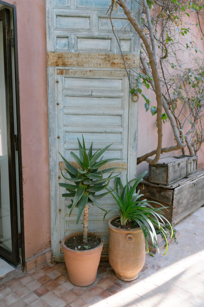 Two potted plants sit on a tiled floor in front of a tall, weathered blue wooden door. A leafy vine climbs nearby, and a rustic wooden chest rests against the wall, creating a relaxed, sunlit courtyard scene.