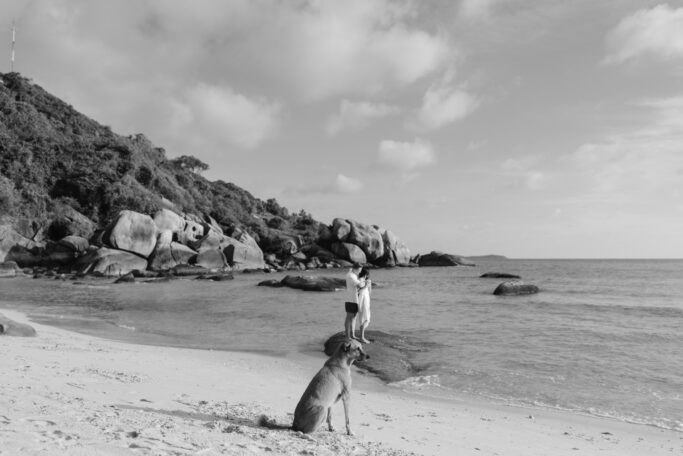 A large dog sits on a sandy beach near the water, while a person stands at the shoreline looking out to sea. Rocky cliffs and boulders are visible in the background under a partly cloudy sky.