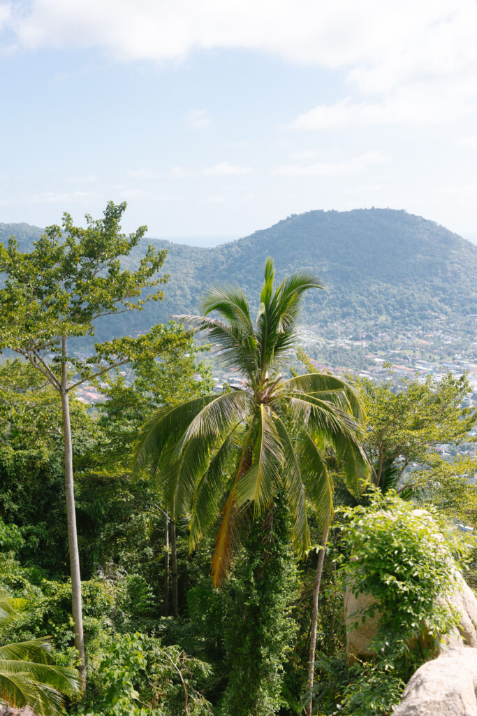 A lush tropical landscape with tall palm trees in the foreground, overlooking a distant town nestled among green hills under a partly cloudy sky.