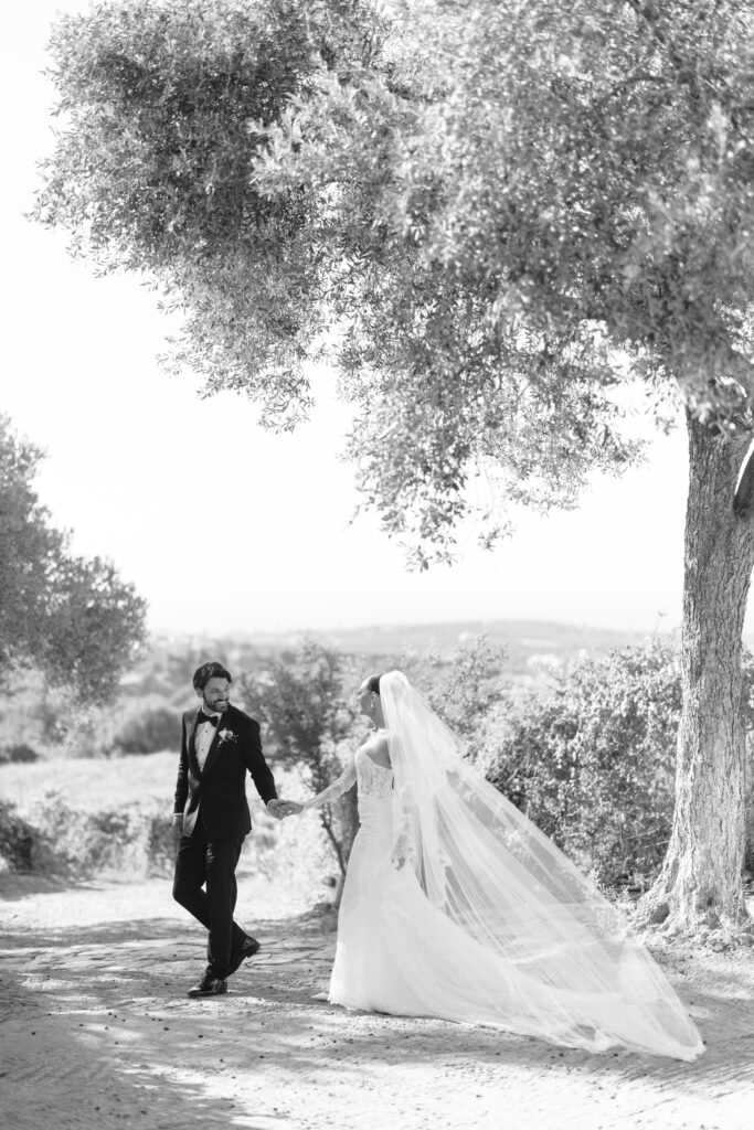 A bride in a long gown and veil holds hands with a groom in a suit as they walk outdoors under a large tree, both smiling. The scene is bright and sunlit with natural, scenic surroundings.