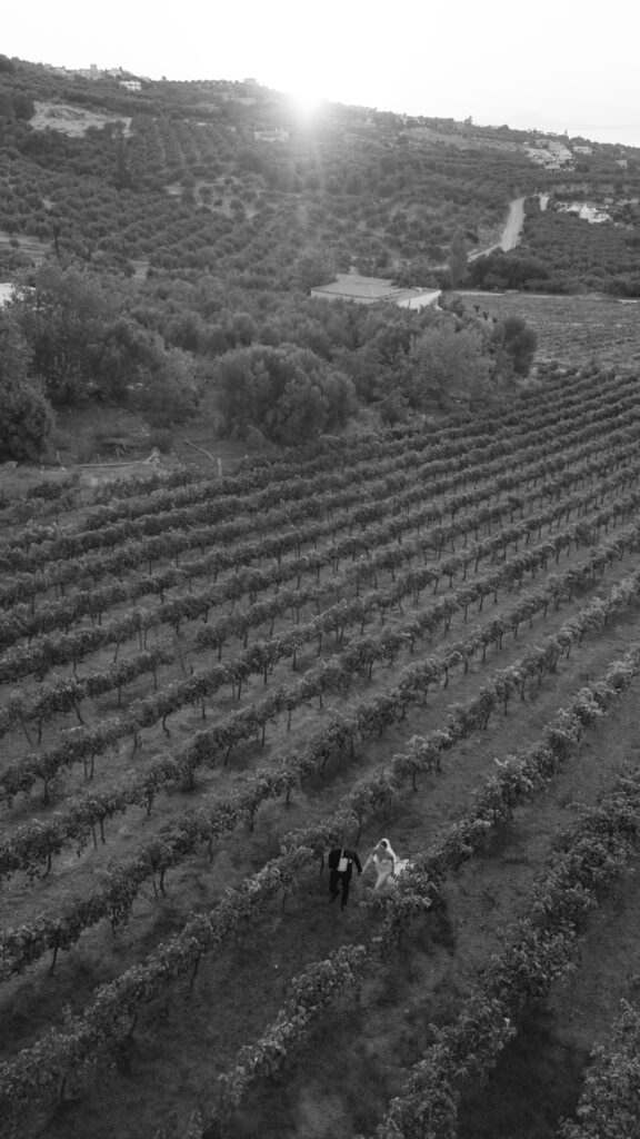 Two people, possibly a bride and groom, walk hand in hand through neat rows of a vineyard at sunset, with rolling hills and distant trees in the background.