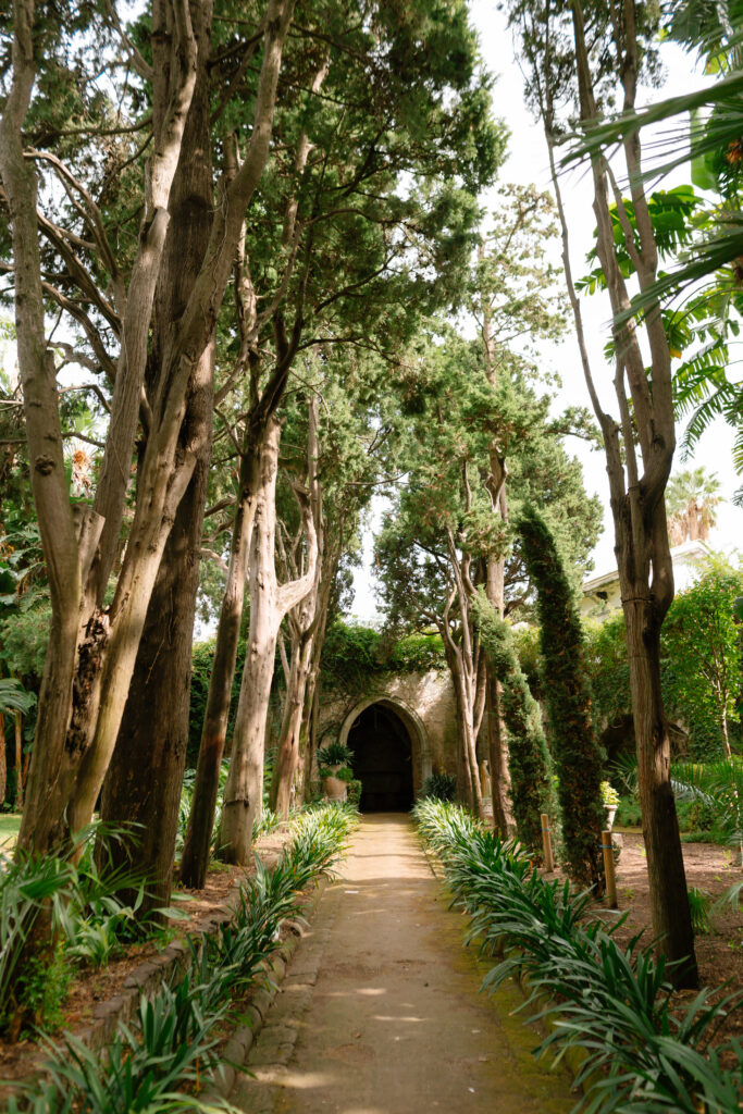 A stone path lined with tall trees and green plants leads to an arched stone doorway, surrounded by lush foliage and natural sunlight.