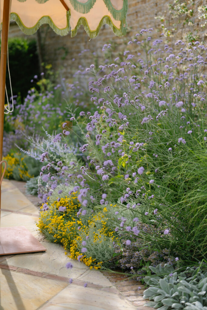 Purple and yellow wildflowers grow densely along a garden path, partially shaded by a scalloped edge umbrella. The scene is lush, vibrant, and peaceful.