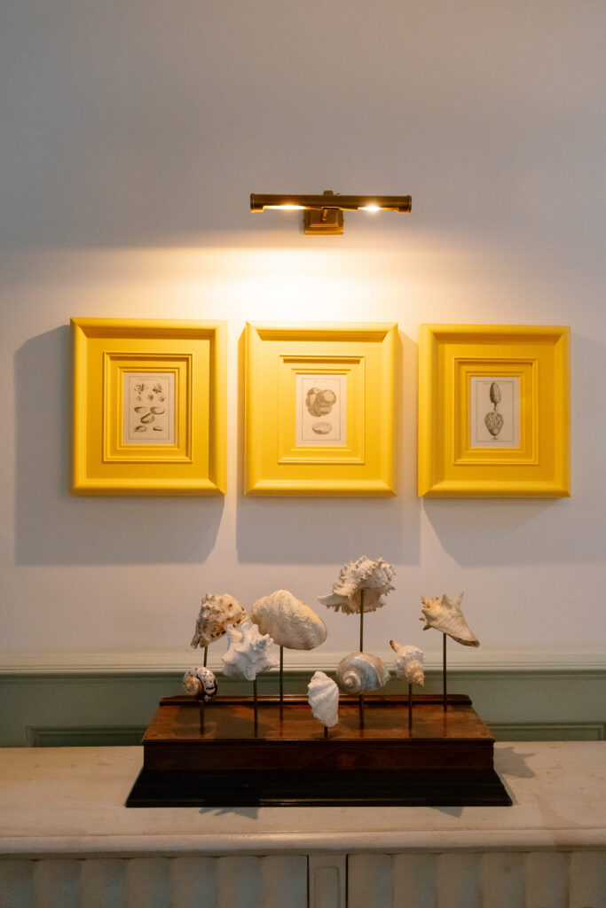 A display of seashells on stands sits below three framed sketches with yellow borders, illuminated by a small wall light.